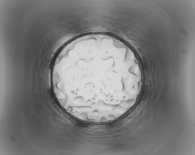 X0000111881171200908131627