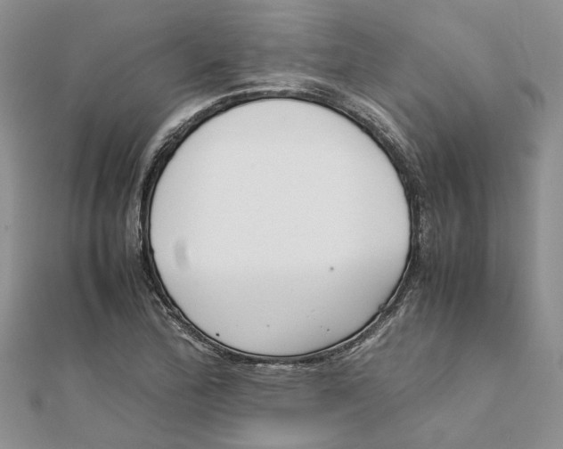 X0000111881172200908131627