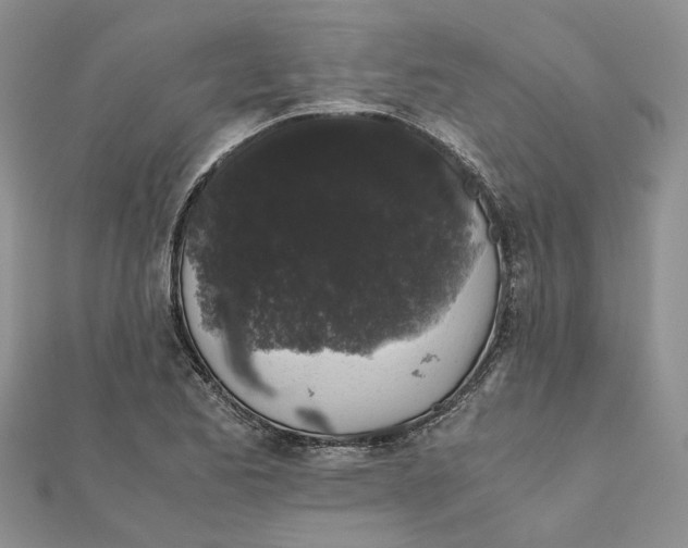 X0000111881173200908131627