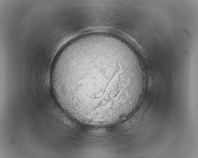 X0000111881174200908131627