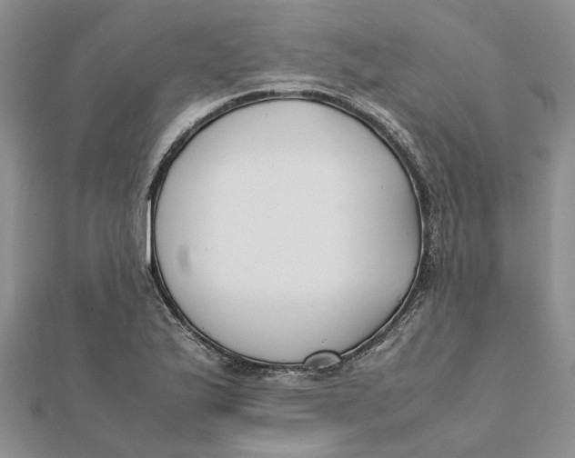 X0000111881175200908131627