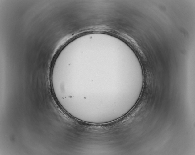 X0000111881176200908131627