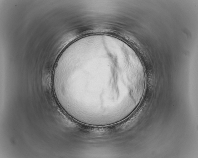 X0000111881177200908131627