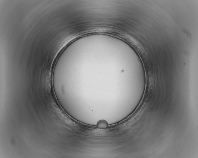 X0000111881178200908131627