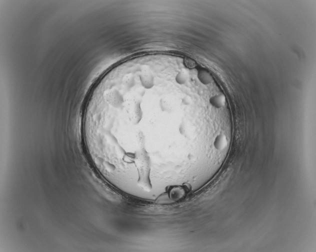 X0000111881179200908131627