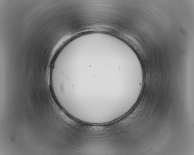 X0000111881180200908131627