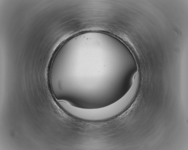 X0000111881181200908131627