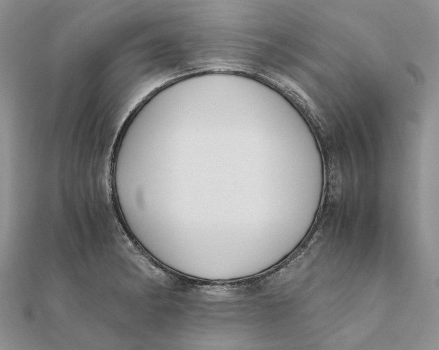 X0000111881182200908131627