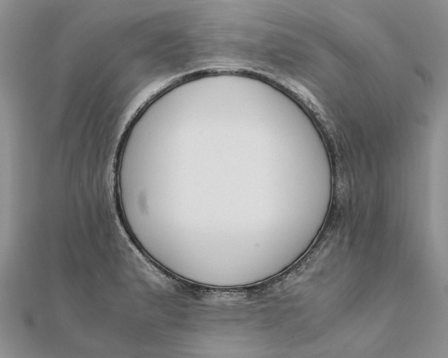 X0000111881183200908131627