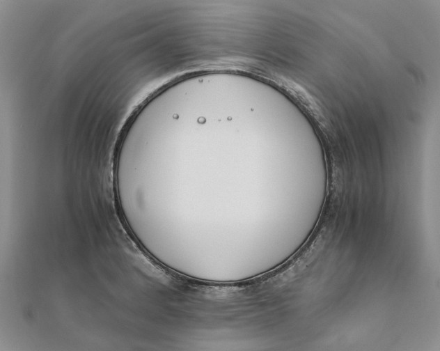 X0000111881184200908131627