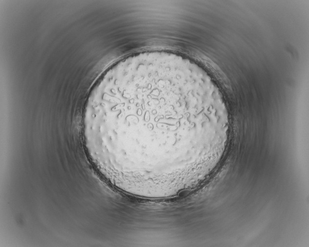 X0000111881185200908131627