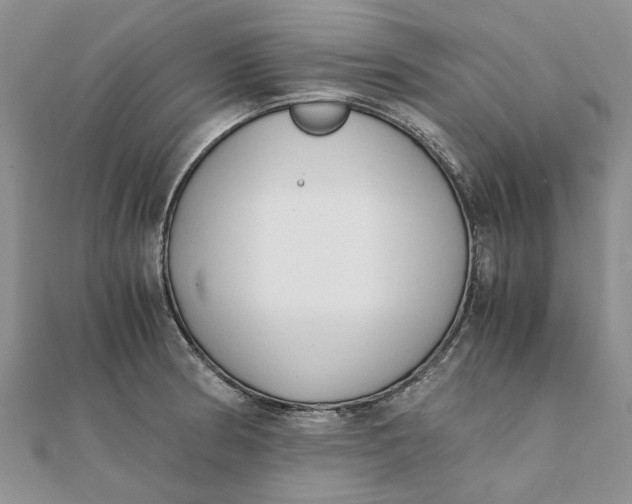 X0000111881186200908131627