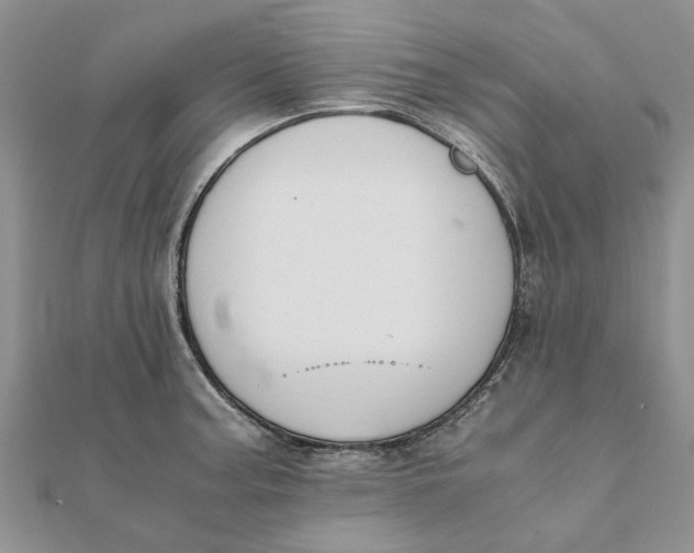 X0000111881187200908131627