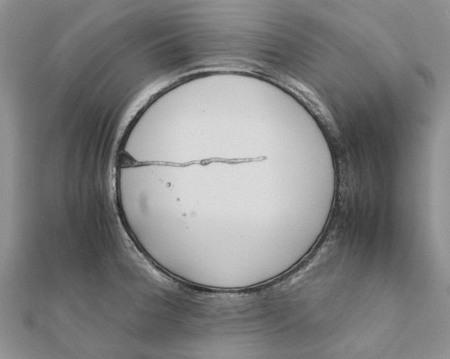 X0000111881188200908131627