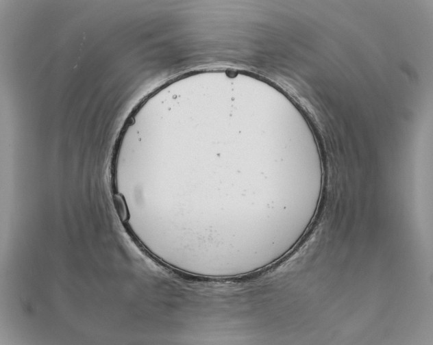 X0000111881189200908131627