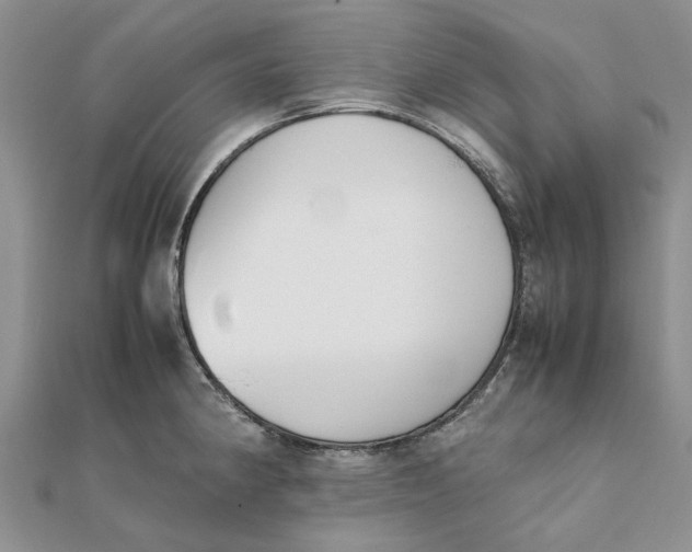 X0000111881190200908131627