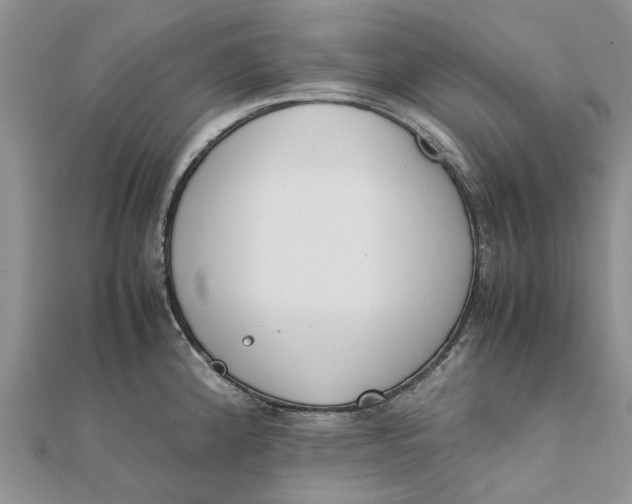 X0000111881192200908131627