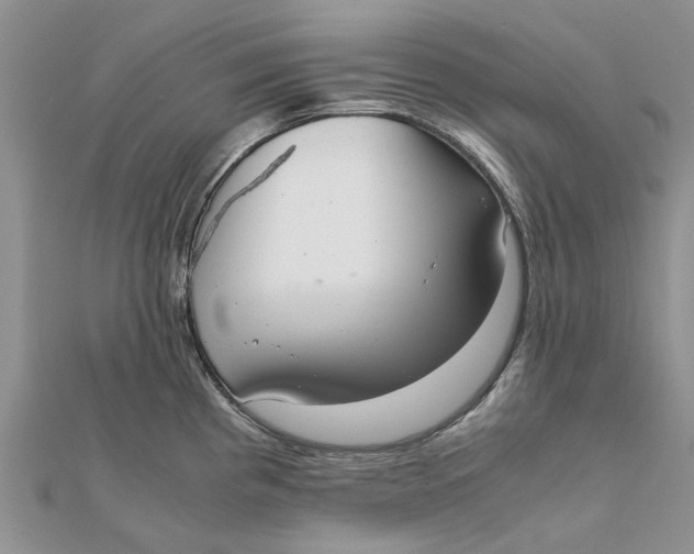 X0000111881193200908131627