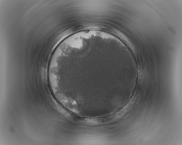 X0000111881194200908131627