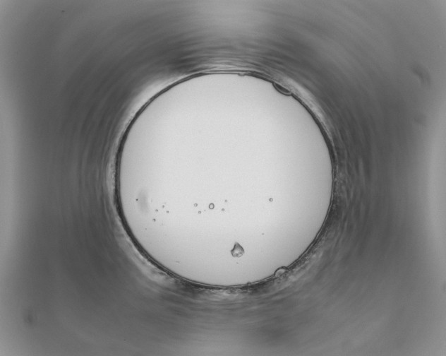 X0000111881195200908131627