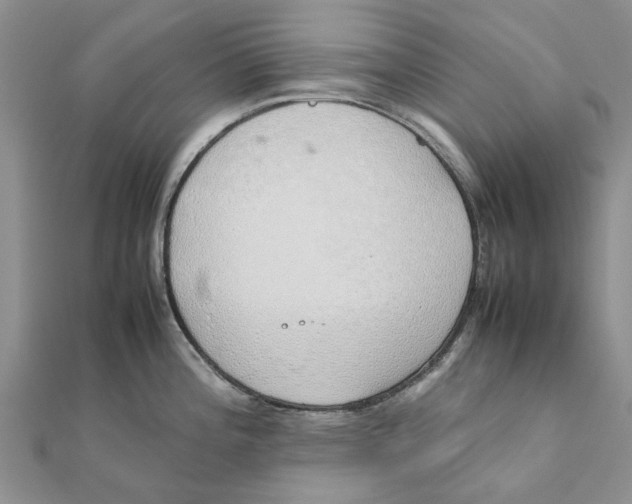 X0000111881196200908131627