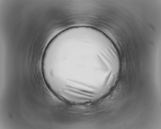 X0000111881197200908131627