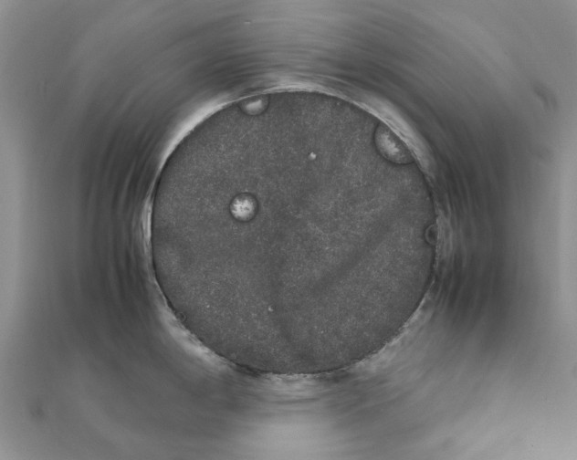 X0000111881198200908131627