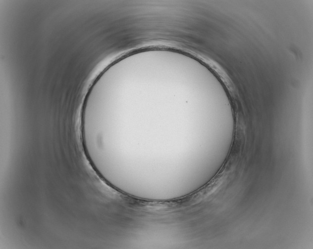 X0000111881199200908131627