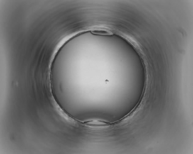 X0000111881200200908131627