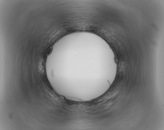 X0000111881202200908131626