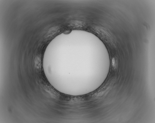 X0000111881203200908131626