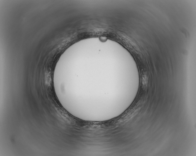 X0000111881204200908131626