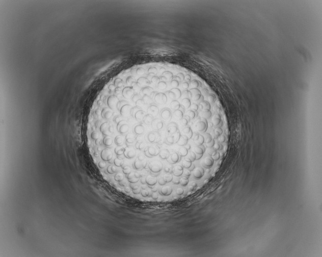 X0000111881205200908131626