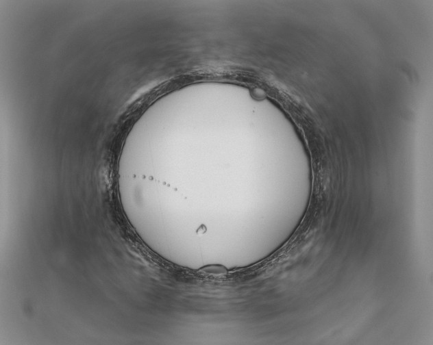 X0000111881206200908131626