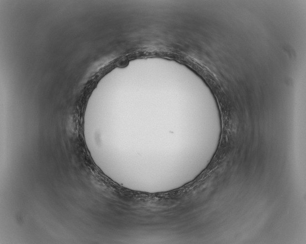 X0000111881207200908131626