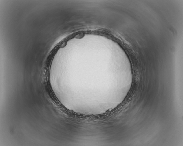 X0000111881208200908131626