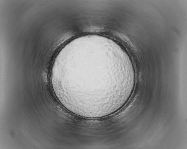 X0000111881209200908131626