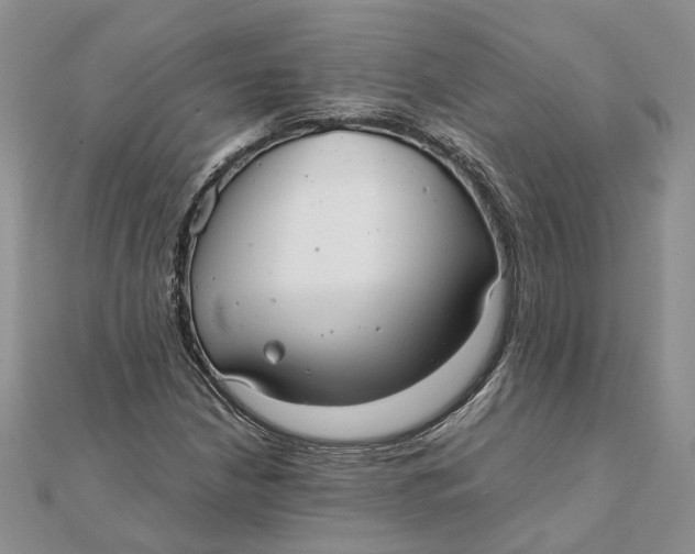 X0000111881210200908131626