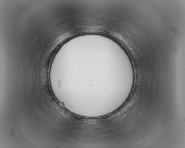 X0000111881211200908131626