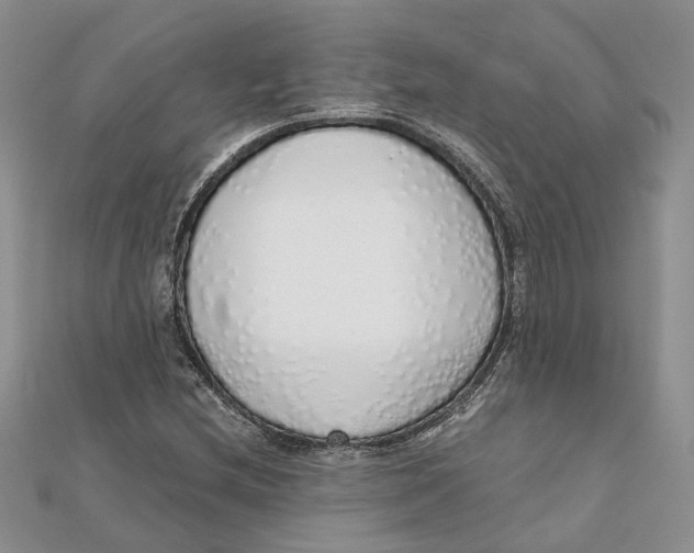 X0000111881212200908131626