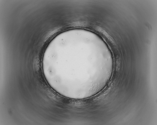 X0000111881213200908131626