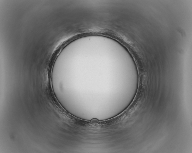 X0000111881214200908131626