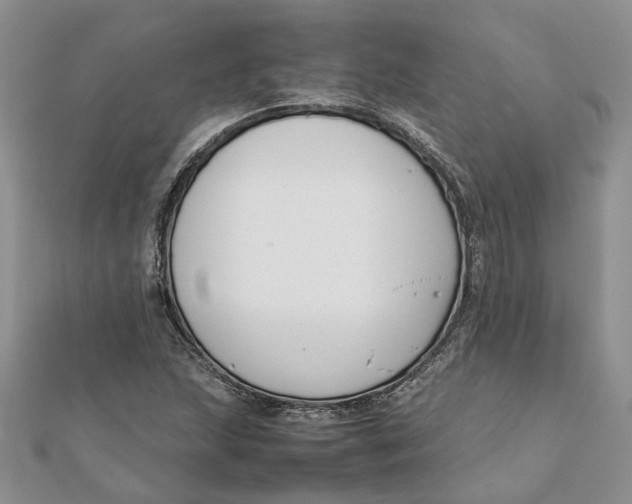 X0000111881215200908131626