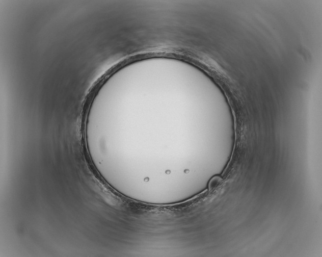 X0000111881216200908131626