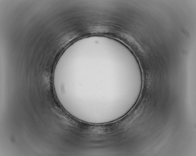 X0000111881217200908131626