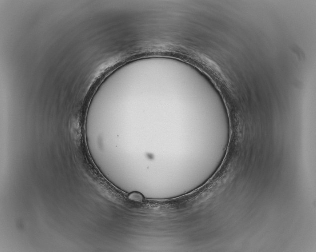 X0000111881218200908131626