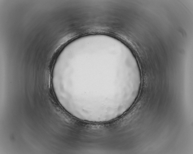 X0000111881219200908131626