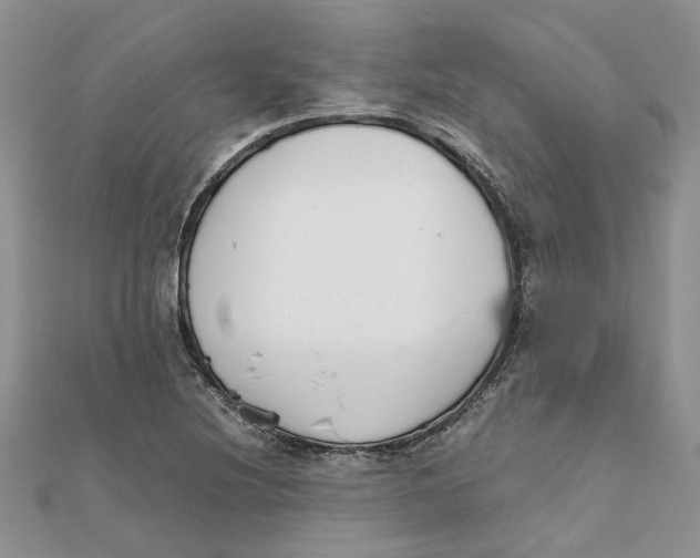 X0000111881220200908131626