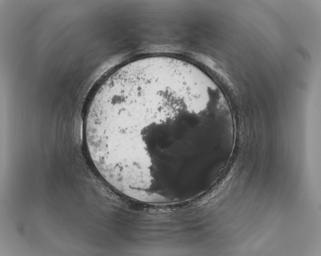 X0000111881221200908131626