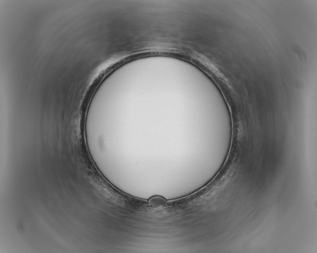 X0000111881222200908131626